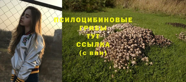 ПСИЛОЦИБИНОВЫЕ ГРИБЫ Балахна
