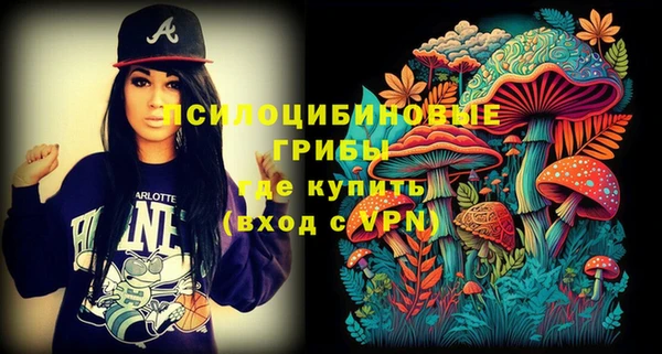 ПСИЛОЦИБИНОВЫЕ ГРИБЫ Балахна
